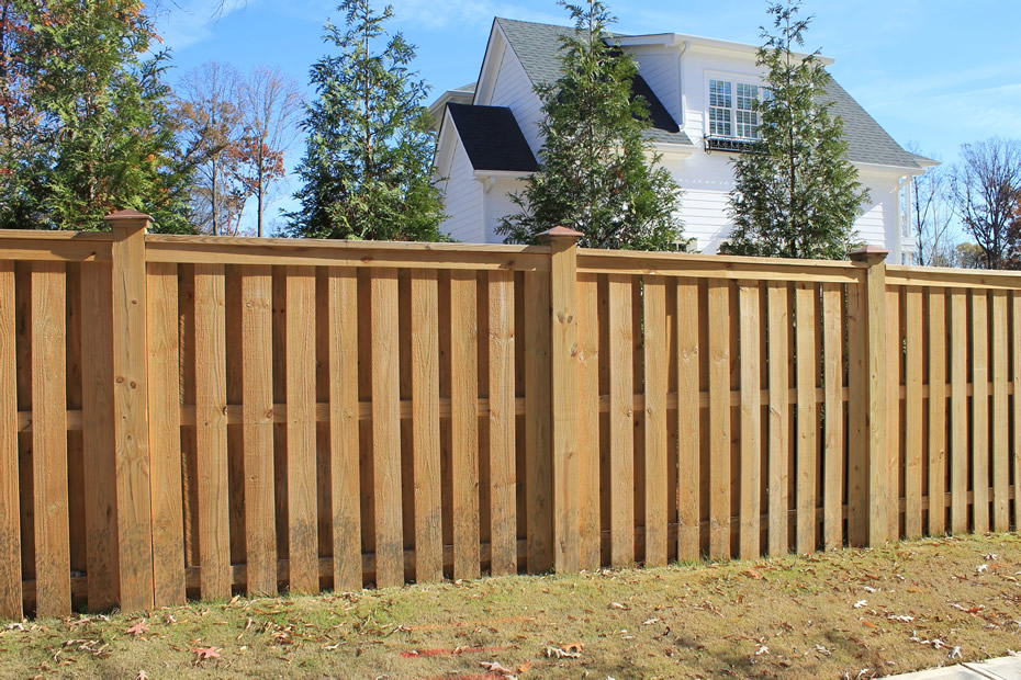 A lovely fence (not mine!)